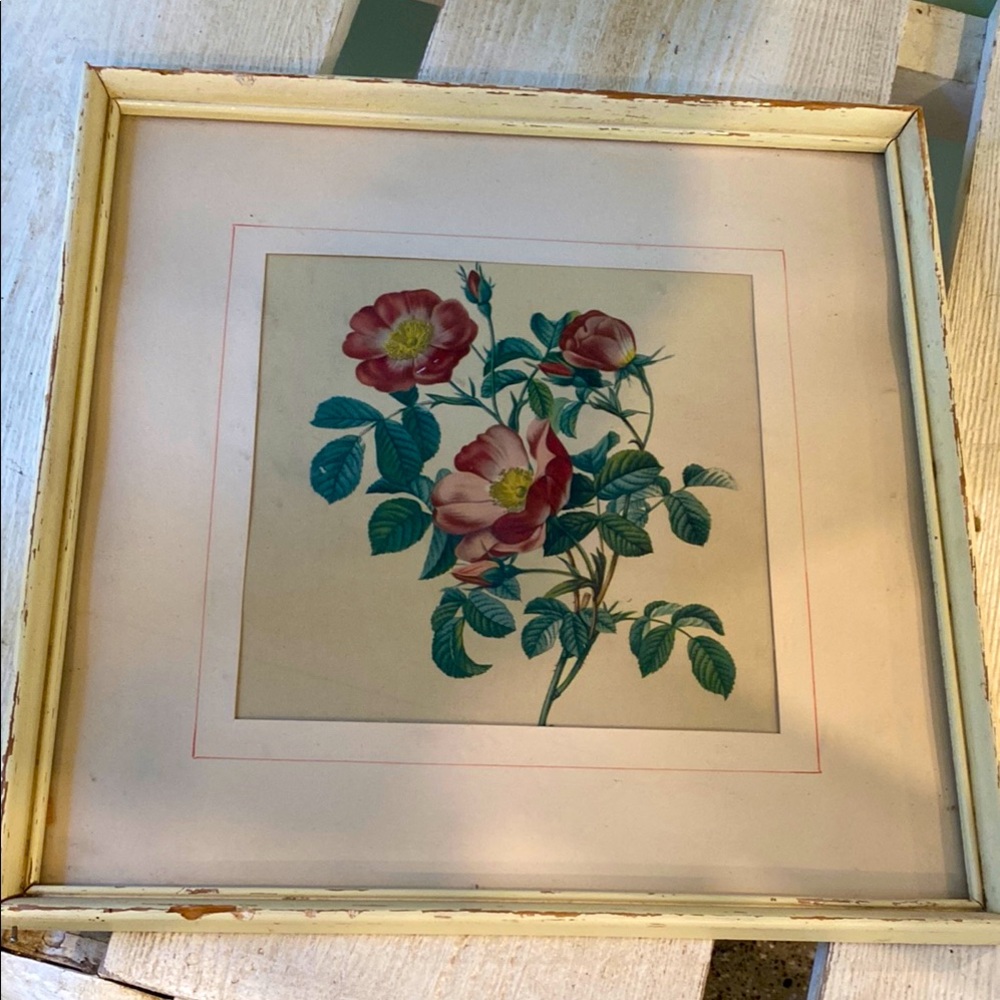 Floral Botanical Print in Wooden Frame
